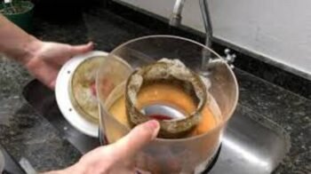 Skimmer para Aquários: O Que é, Como Funciona e Como Usar