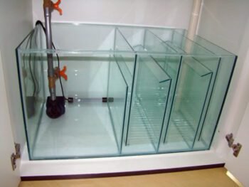 Tudo Sobre Sump de Aquários: Guia Completo para Iniciantes