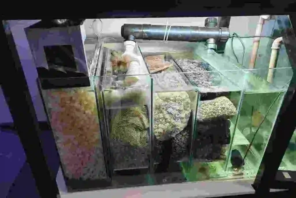 sump de aquário