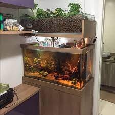aquaponia em casa