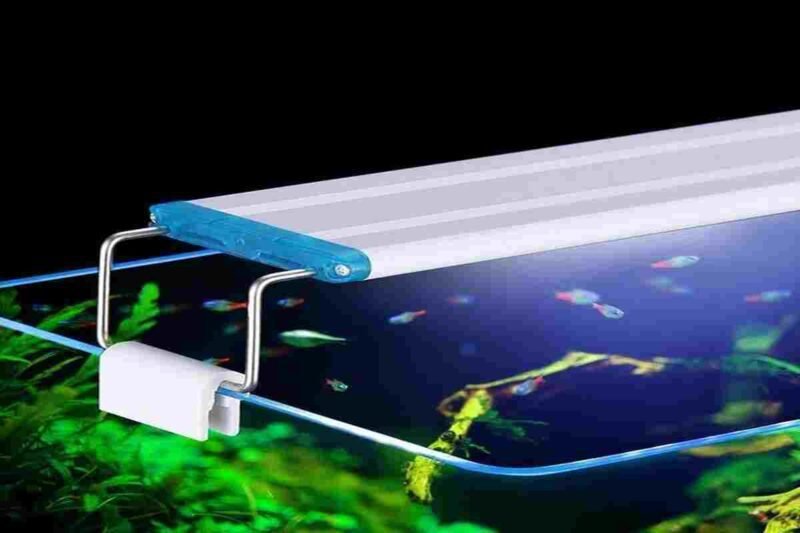 Iluminação para Aquário: Um Guia Completo