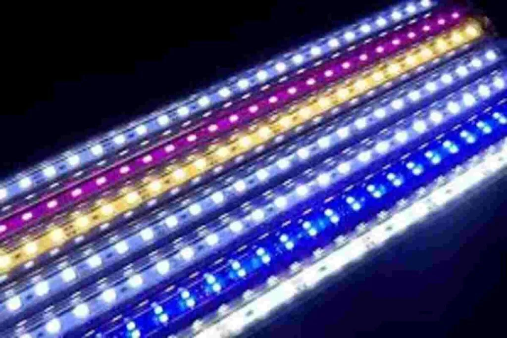 iluminação aquário marinho