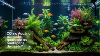CO2 no Aquário Plantado: Quais São as Vantagens de Usá-lo?