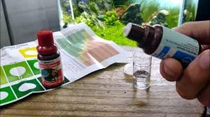 Teste de Amônia