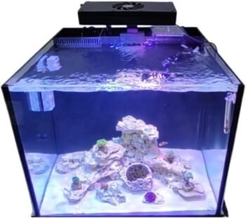 As 5 Melhores Luminárias Para Nano Reef em 2025