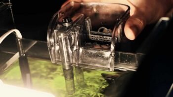 Melhor Filtro Hang On para Aquário em 2025