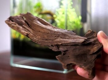 Os 9 Melhores Troncos para Aquário: Guia Completo