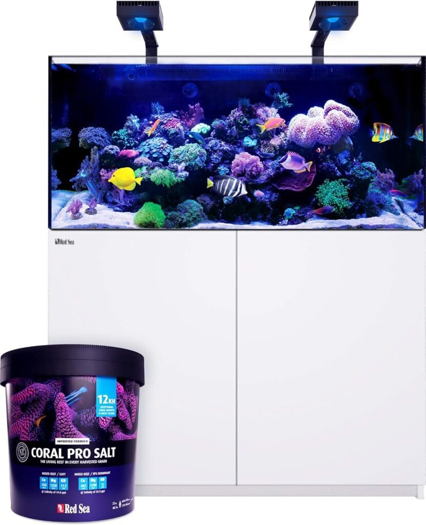 Sal Red Sea Coral